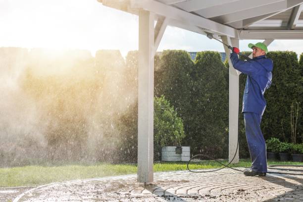 Best Sidewalk and Walkway Cleaning  in Oak Forest, IL